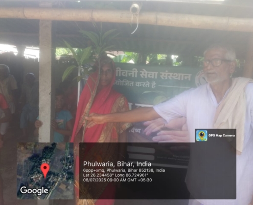 Lemon tree plantation