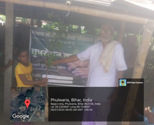 Supaul Plantation Drive