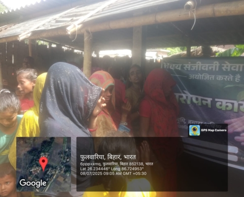 Supaul sapling plantation