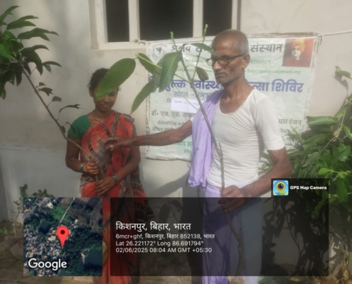 supaul plantation world environment day