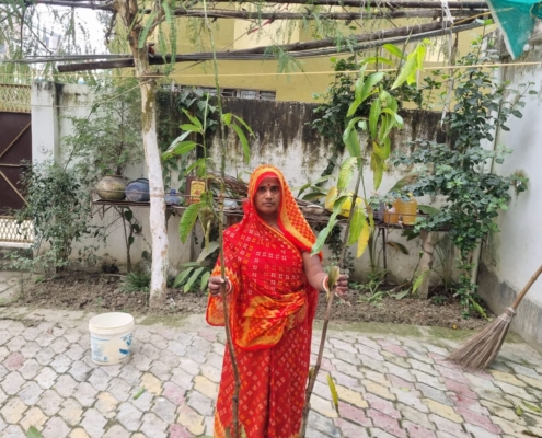 world-environment-day-plantation-drive-akshaysanjeevani-begusarai-bihar-2025-02