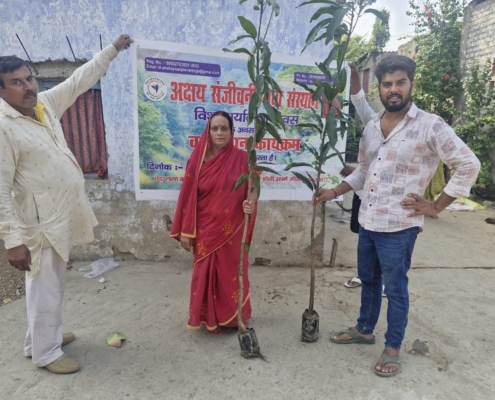 world-environment-day-plantation-drive-akshaysanjeevani-begusarai-bihar-2025-06