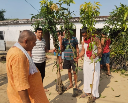 world-environment-day-plantation-drive-akshaysanjeevani-begusarai-bihar-2025-11