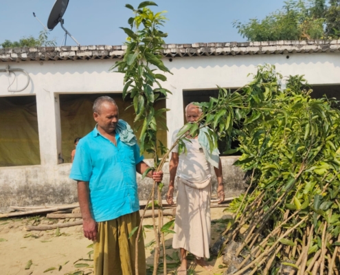 world-environment-day-plantation-drive-akshaysanjeevani-begusarai-bihar-2025-14