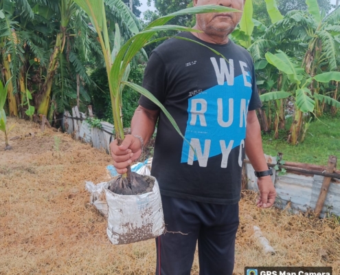 world-environment-day-plantation-drive-akshaysanjeevani-east-bardhaman-west-bengal-2025-03