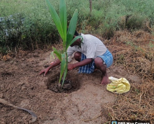 world-environment-day-plantation-drive-akshaysanjeevani-east-bardhaman-west-bengal-2025-04