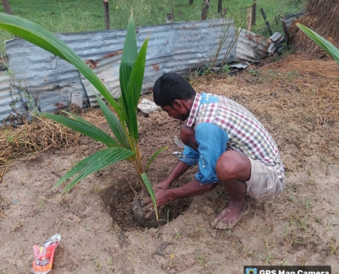 world-environment-day-plantation-drive-akshaysanjeevani-east-bardhaman-west-bengal-2025-05