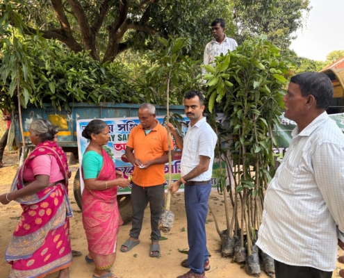 world-environment-day-plantation-drive-akshaysanjeevani-malda-west-bengal-2025-01