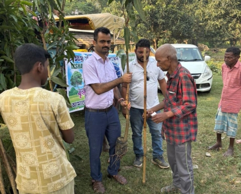 world-environment-day-plantation-drive-akshaysanjeevani-malda-west-bengal-2025-01