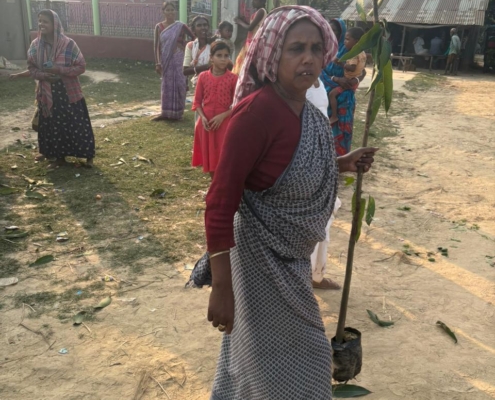 world-environment-day-plantation-drive-akshaysanjeevani-malda-west-bengal-2025-01