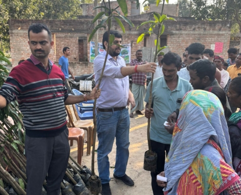 world-environment-day-plantation-drive-akshaysanjeevani-malda-west-bengal-2025-01
