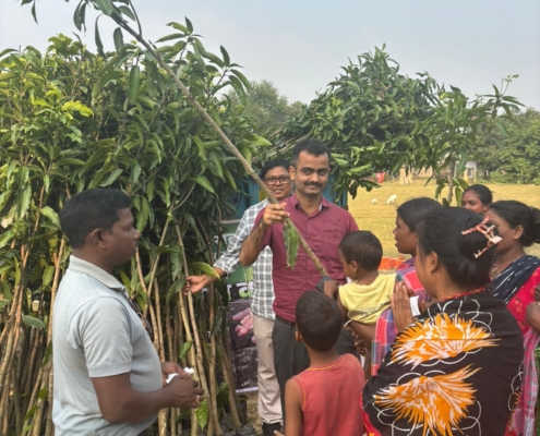 world-environment-day-plantation-drive-akshaysanjeevani-malda-west-bengal-2025-02