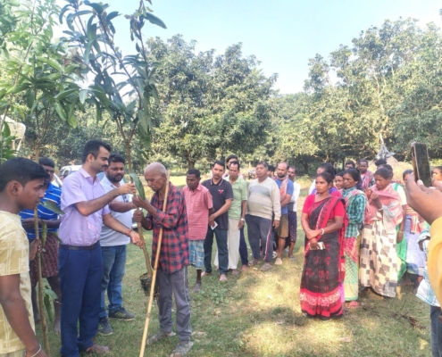 world-environment-day-plantation-drive-akshaysanjeevani-malda-west-bengal-2025-02