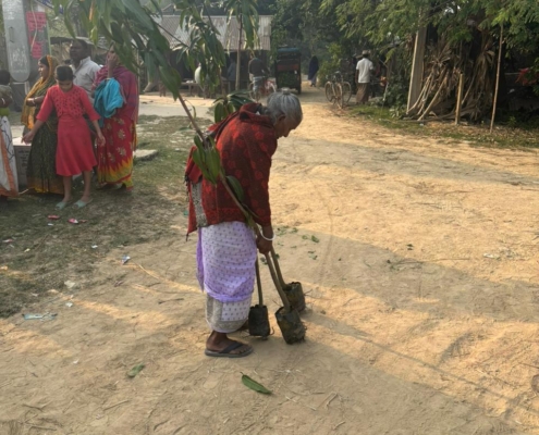 world-environment-day-plantation-drive-akshaysanjeevani-malda-west-bengal-2025-02
