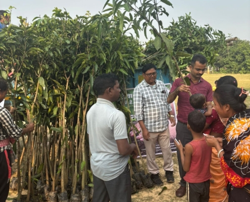 world-environment-day-plantation-drive-akshaysanjeevani-malda-west-bengal-2025-03