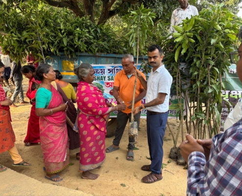 world-environment-day-plantation-drive-akshaysanjeevani-malda-west-bengal-2025-03