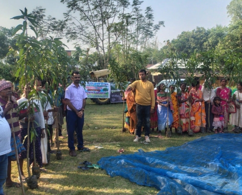 world-environment-day-plantation-drive-akshaysanjeevani-malda-west-bengal-2025-03