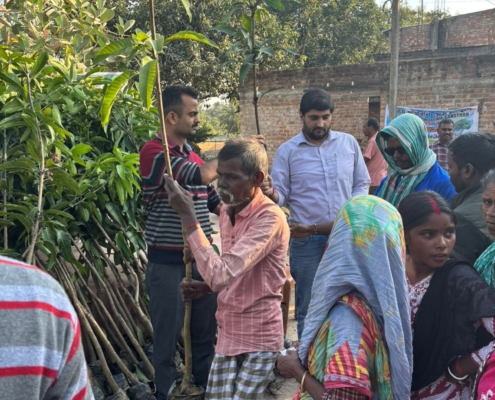 world-environment-day-plantation-drive-akshaysanjeevani-malda-west-bengal-2025-03