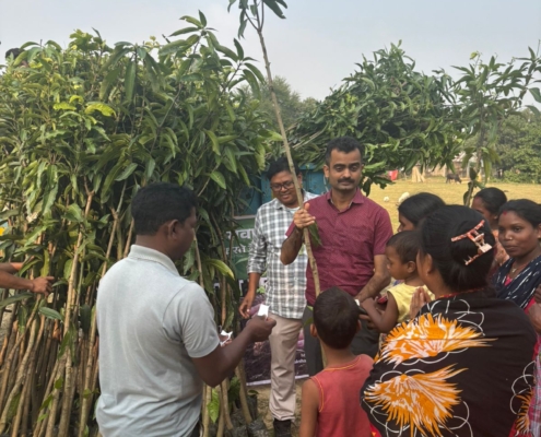 world-environment-day-plantation-drive-akshaysanjeevani-malda-west-bengal-2025-04