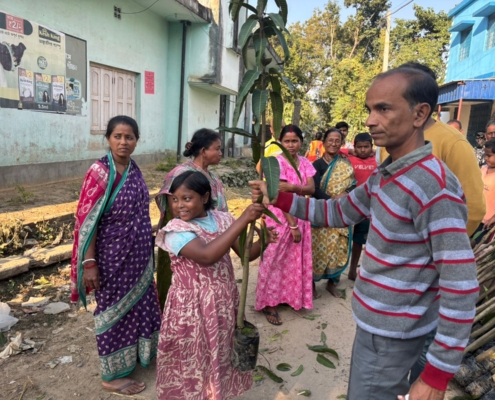 world-environment-day-plantation-drive-akshaysanjeevani-malda-west-bengal-2025-04