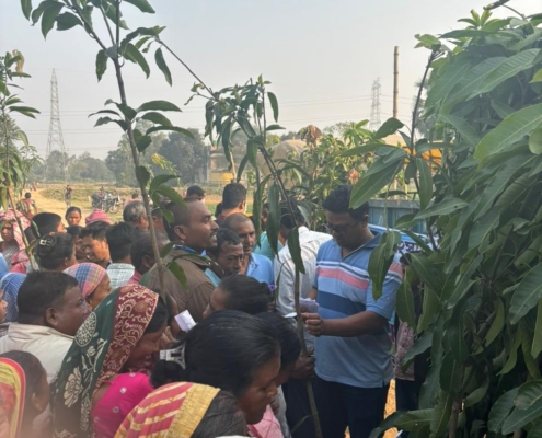 world-environment-day-plantation-drive-akshaysanjeevani-malda-west-bengal-2025-05