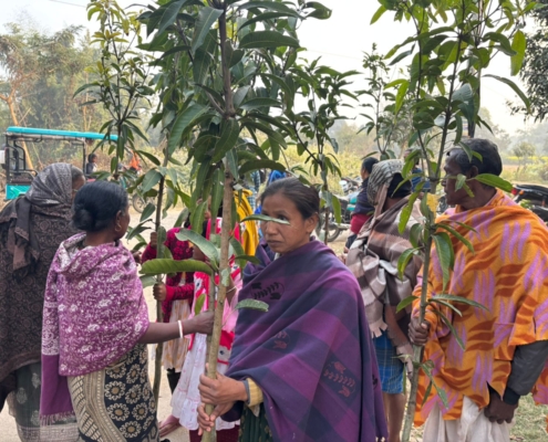 world-environment-day-plantation-drive-akshaysanjeevani-malda-west-bengal-2025-05
