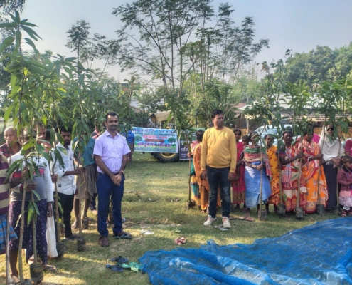 world-environment-day-plantation-drive-akshaysanjeevani-malda-west-bengal-2025-06