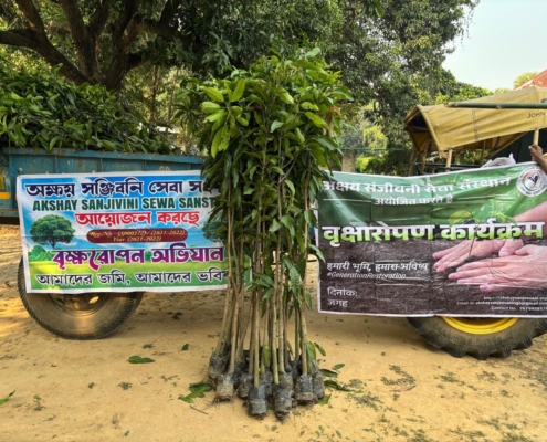 world-environment-day-plantation-drive-akshaysanjeevani-malda-west-bengal-2025-07