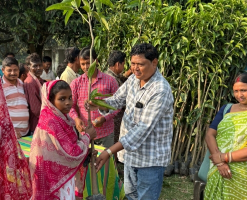 world-environment-day-plantation-drive-akshaysanjeevani-malda-west-bengal-2025-08