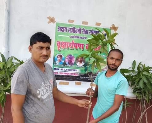 world-environment-day-plantation-drive-akshaysanjeevani-samastipur-bihar-2025-02