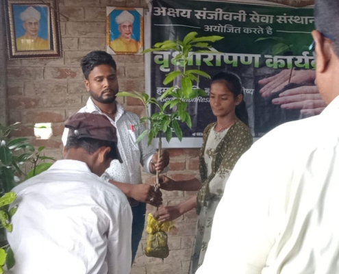 world-environment-day-plantation-drive-akshaysanjeevani-samastipur-bihar-2025-06