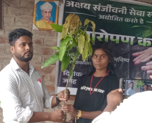 world-environment-day-plantation-drive-akshaysanjeevani-samastipur-bihar-2025-07