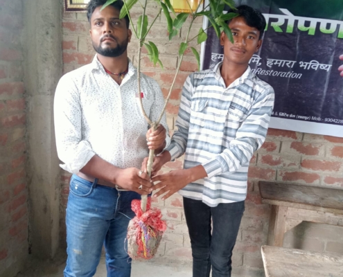 world-environment-day-plantation-drive-akshaysanjeevani-samastipur-bihar-2025-09