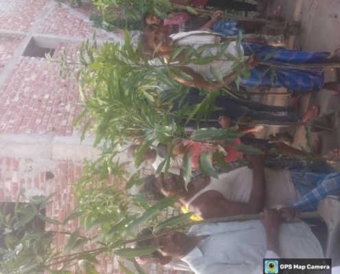 world-environment-day-plantation-drive-akshaysanjeevani-supaul-bihar-2025-04