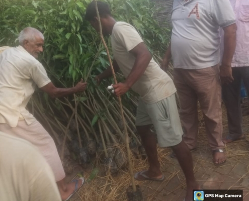 world-environment-day-plantation-drive-akshaysanjeevani-supaul-bihar-2025-05