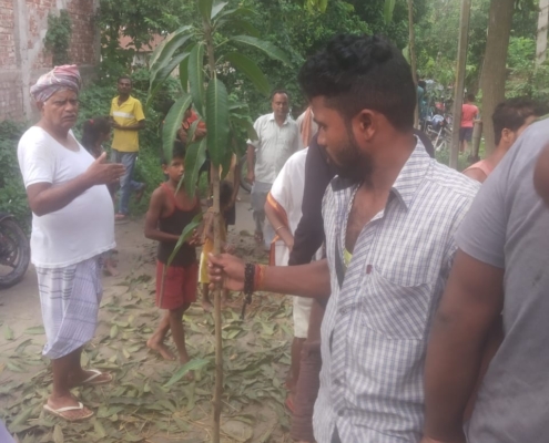 world-environment-day-plantation-drive-akshaysanjeevani-supaul-bihar-2025-08
