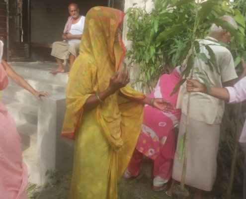 world-environment-day-plantation-drive-akshaysanjeevani-supaul-bihar-2025-11