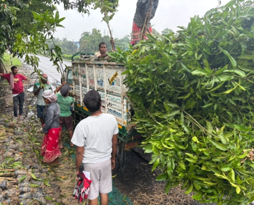 world-environment-day-plantation-drive-akshaysanjeevani-supaul-bihar-2025-15