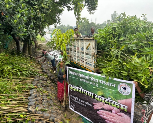 world-environment-day-plantation-drive-akshaysanjeevani-supaul-bihar-2025-16