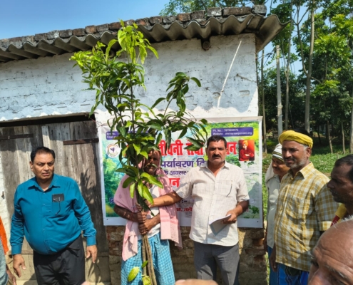 world-environment-day-plantation-drive-akshaysanjeevani-supaul-bihar-2025-18